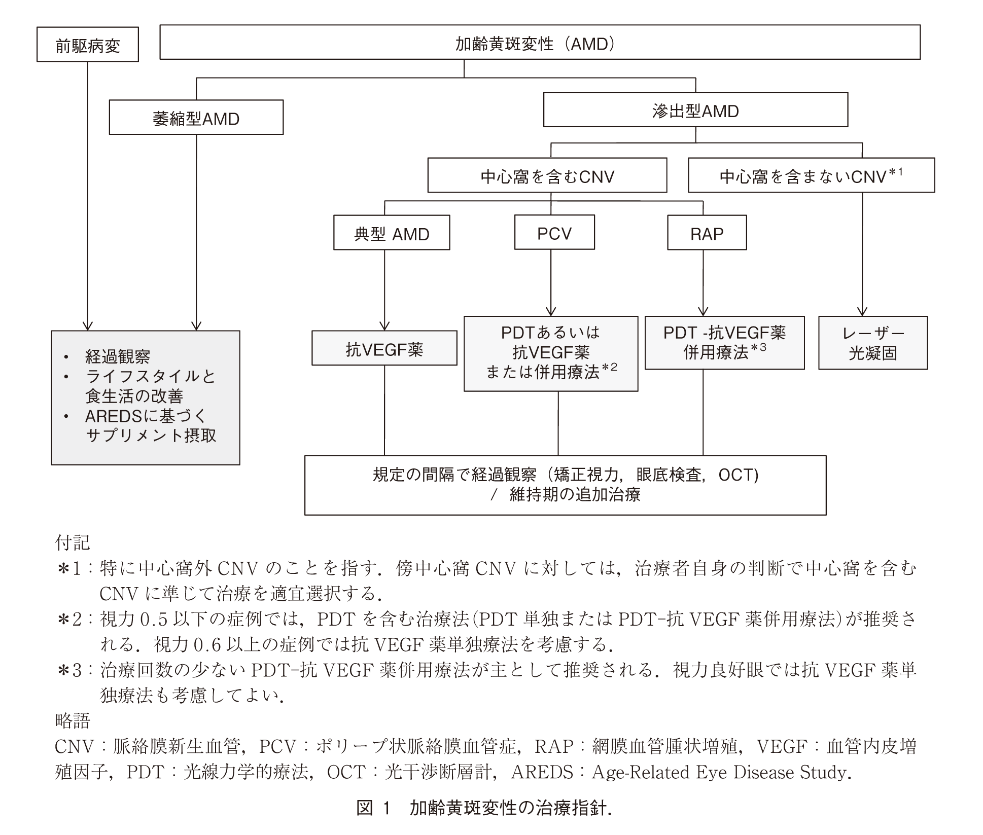 変性 加 齢 黄斑